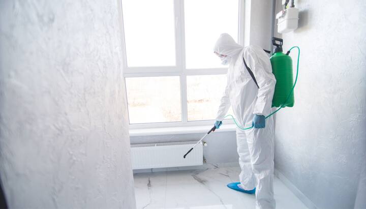 Mold-Inspection in Denver