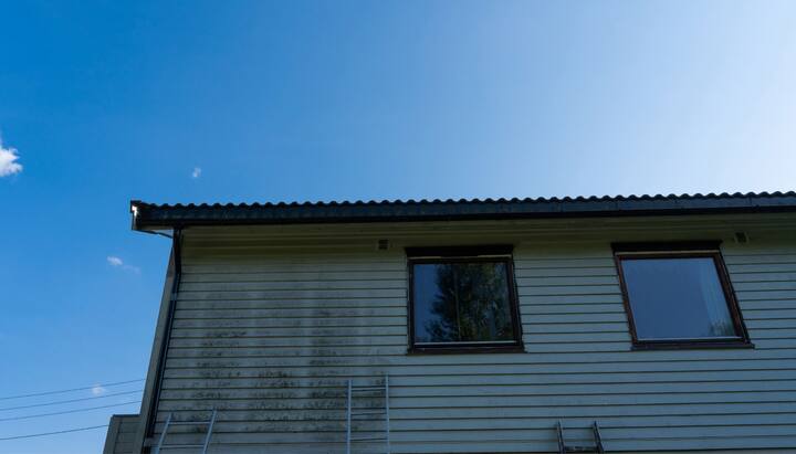 Residential-Mold-Removal in Denver